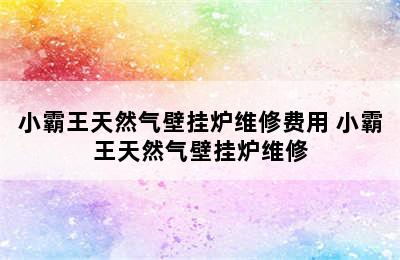 小霸王天然气壁挂炉维修费用 小霸王天然气壁挂炉维修